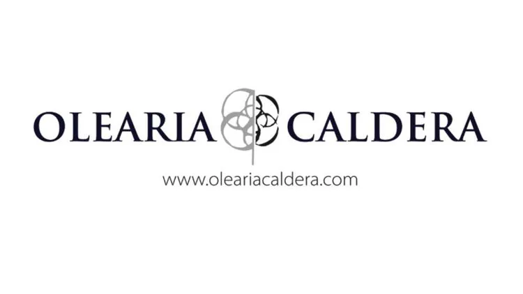 Olearia Caldera